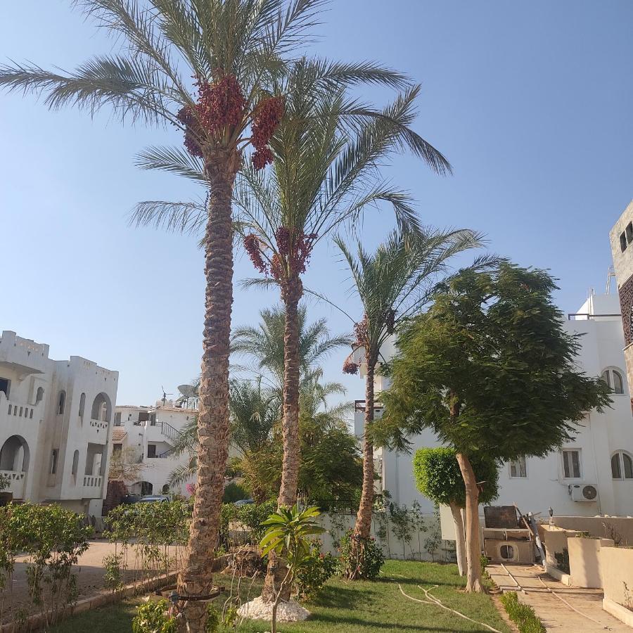 Villa Silia Sharm El-Sheikh Exterior foto